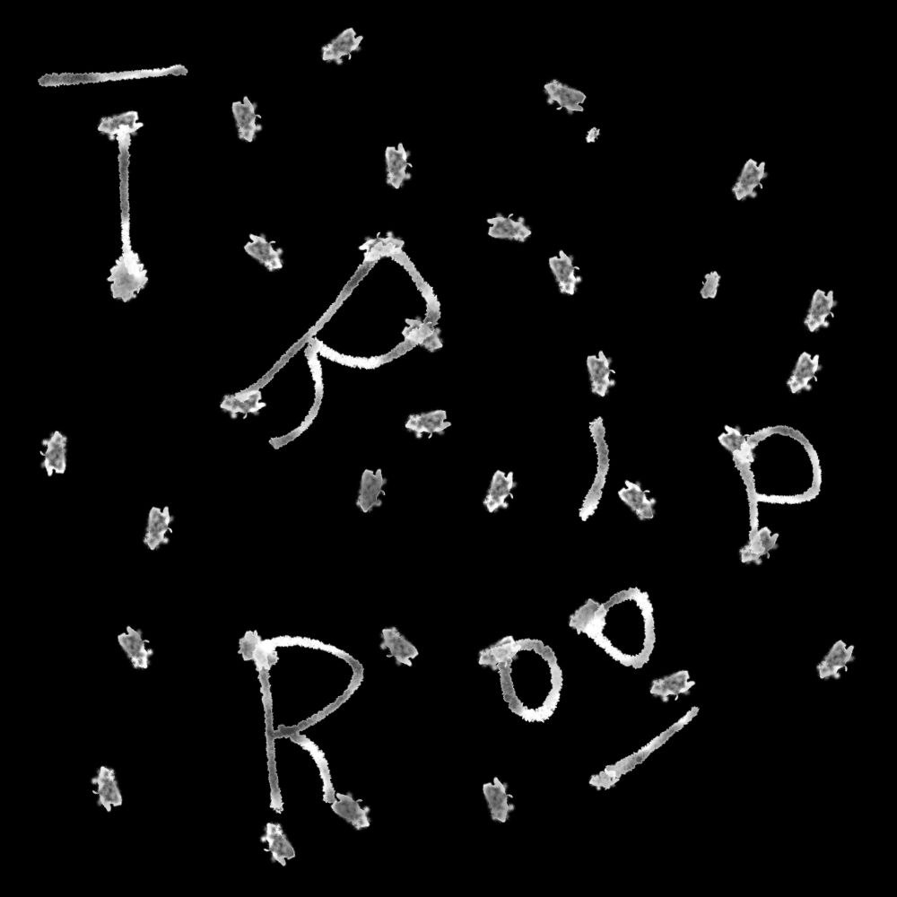 TRIPOOR design 1